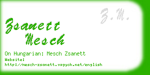 zsanett mesch business card